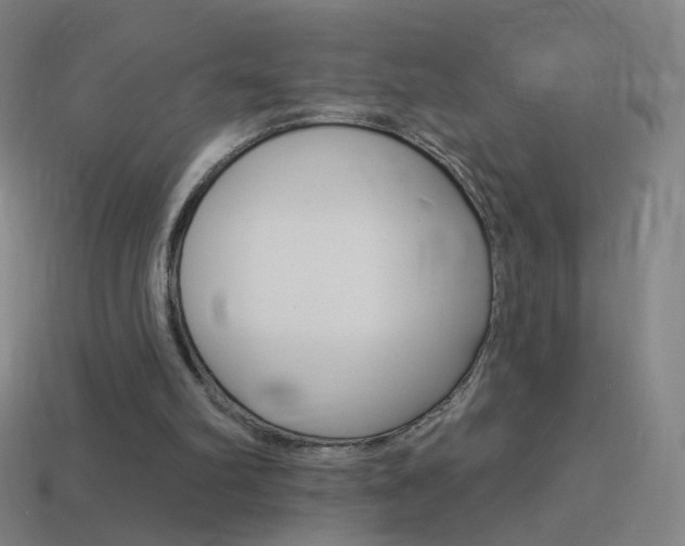 X0000114530102200910191018
