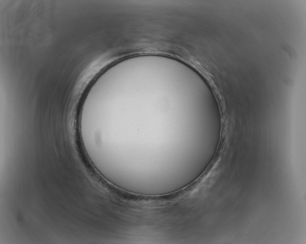 X0000114530103200910191018