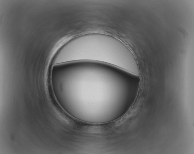 X0000114530104200910191018