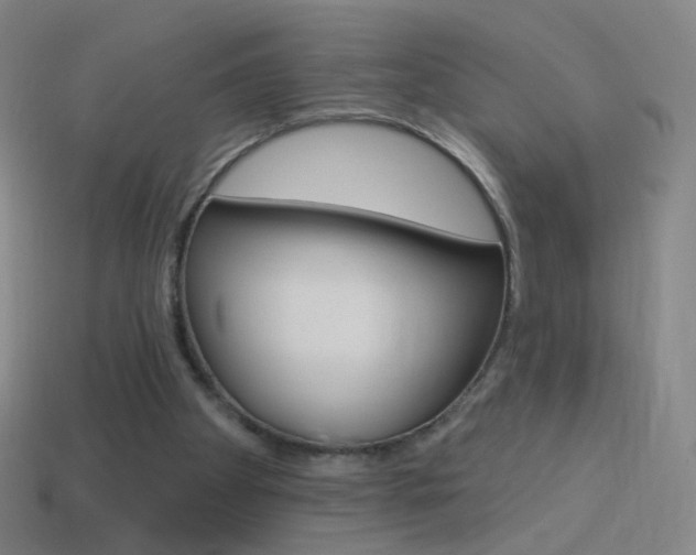 X0000114530105200910191018