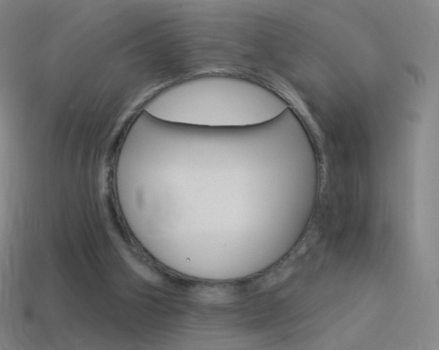 X0000114530106200910191018