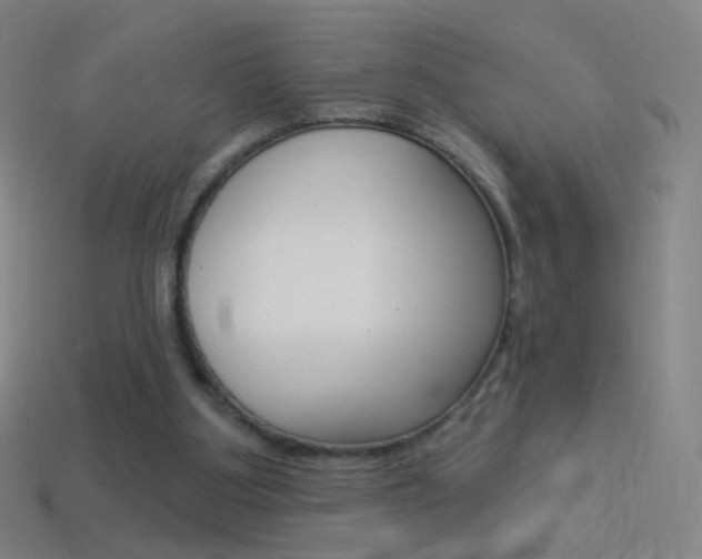 X0000114530107200910191018