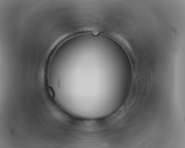 X0000114530108200910191018
