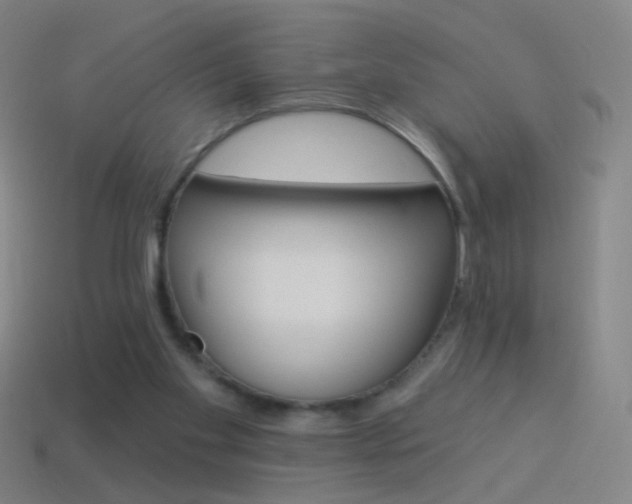 X0000114530109200910191018