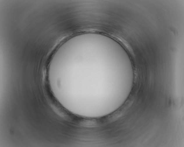 X0000114530110200910191018