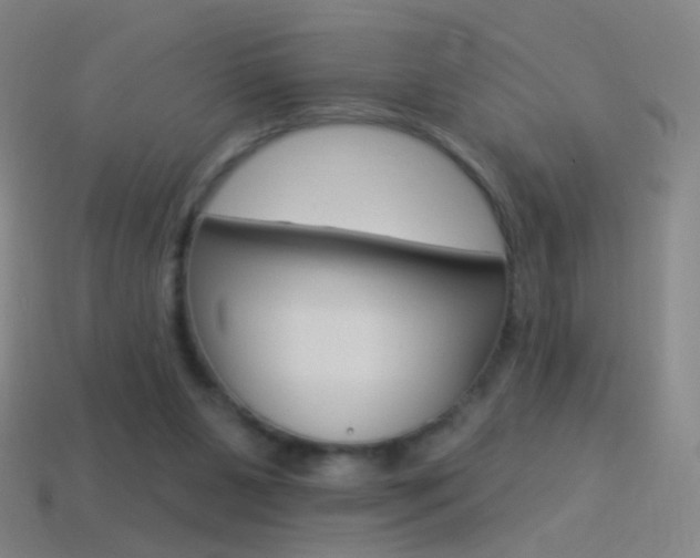 X0000114530111200910191018