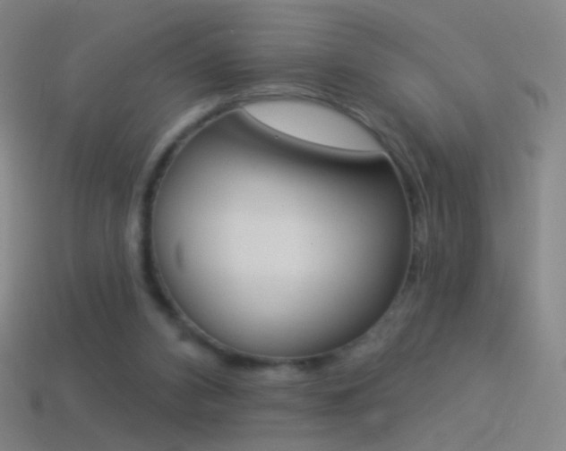 X0000114530112200910191018