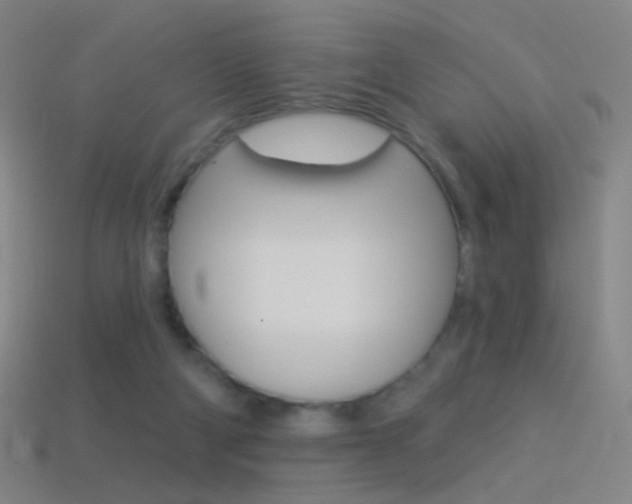 X0000114530114200910191018