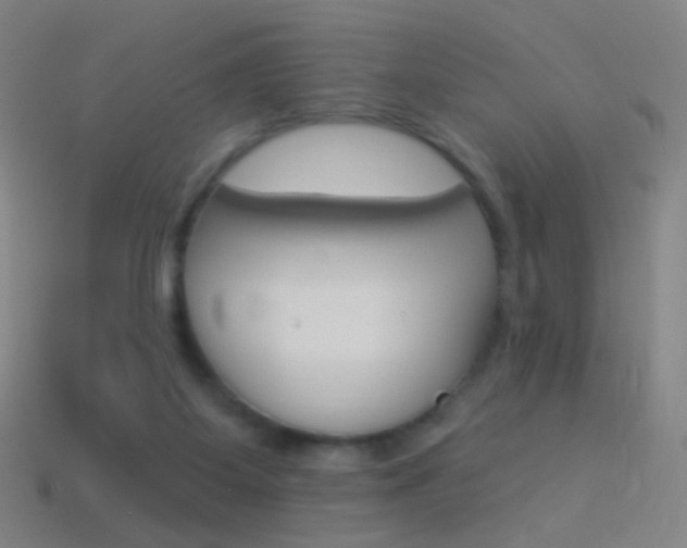 X0000114530115200910191018