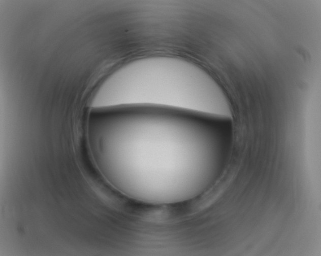 X0000114530116200910191018