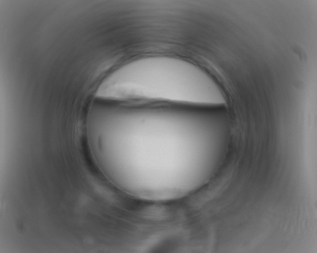 X0000114530119200910191018