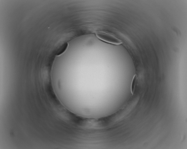 X0000114530121200910191018