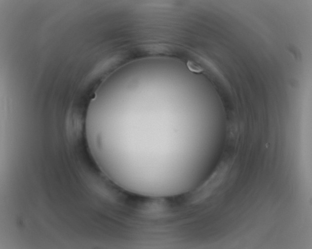 X0000114530124200910191018