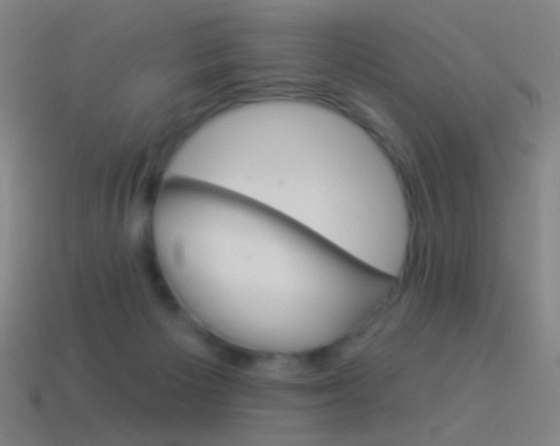 X0000114530125200910191018