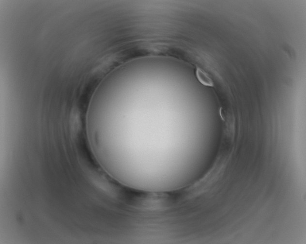 X0000114530128200910191018
