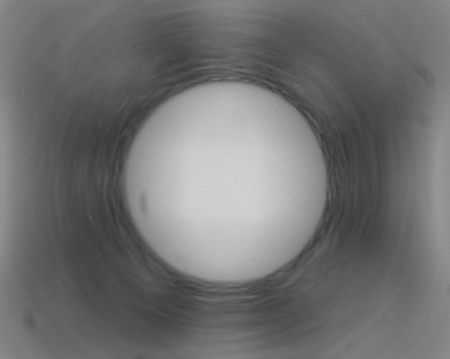 X0000114530129200910191018