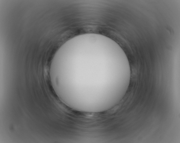 X0000114530130200910191018