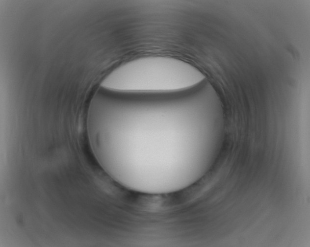 X0000114530131200910191018