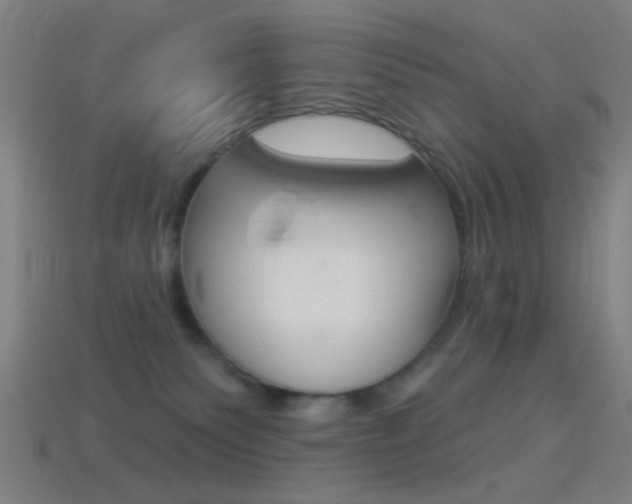 X0000114530135200910191018