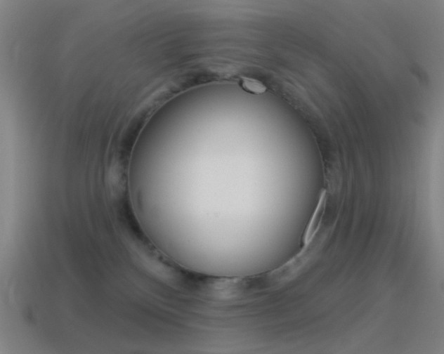 X0000114530136200910191018