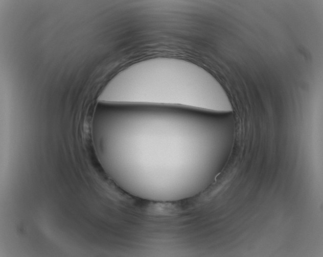 X0000114530137200910191018