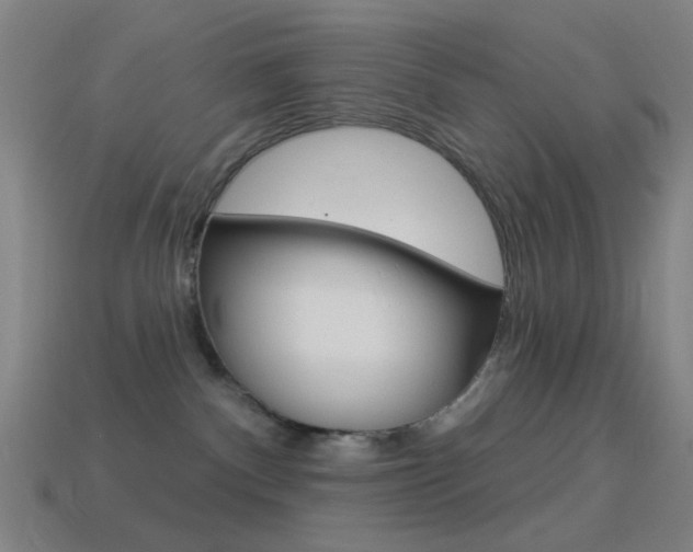 X0000114530140200910191018