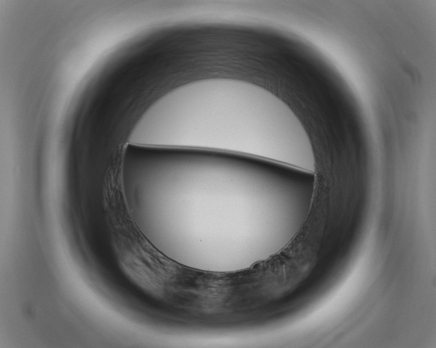 X0000114530143200910191018