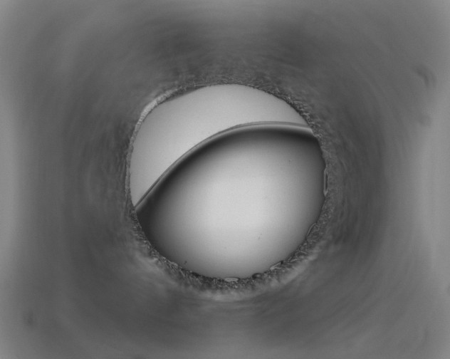 X0000114530144200910191018