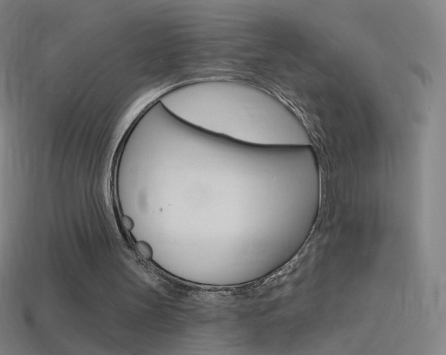 X0000114530147200910191017