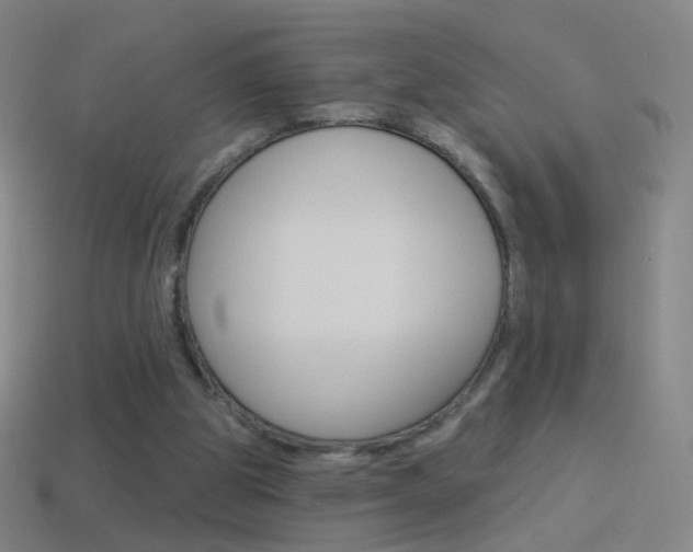 X0000114530153200910191017