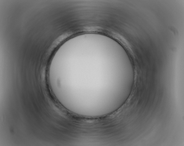 X0000114530155200910191017