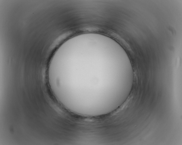 X0000114530159200910191017
