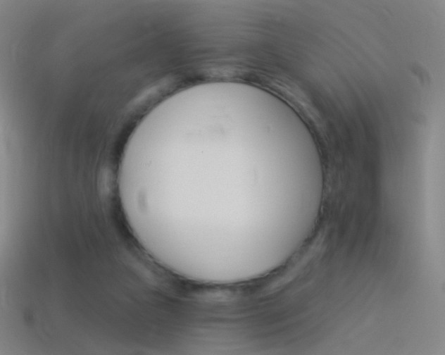 X0000114530161200910191017