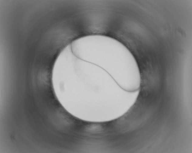 X0000114530162200910191017