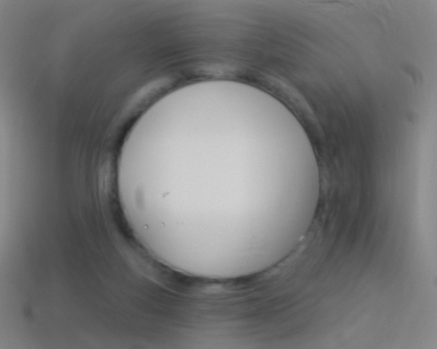 X0000114530163200910191017
