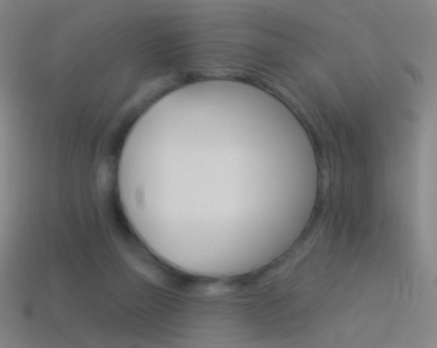 X0000114530165200910191017