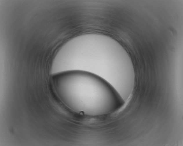 X0000114530174200910191017