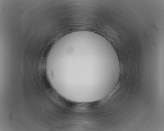 X0000114530179200910191017