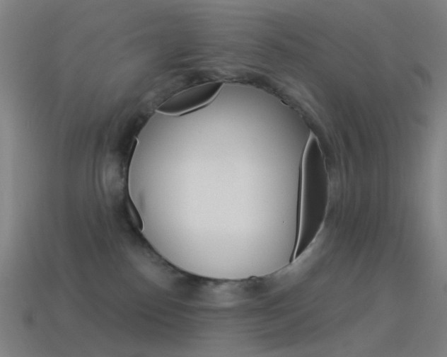 X0000114530186200910191018