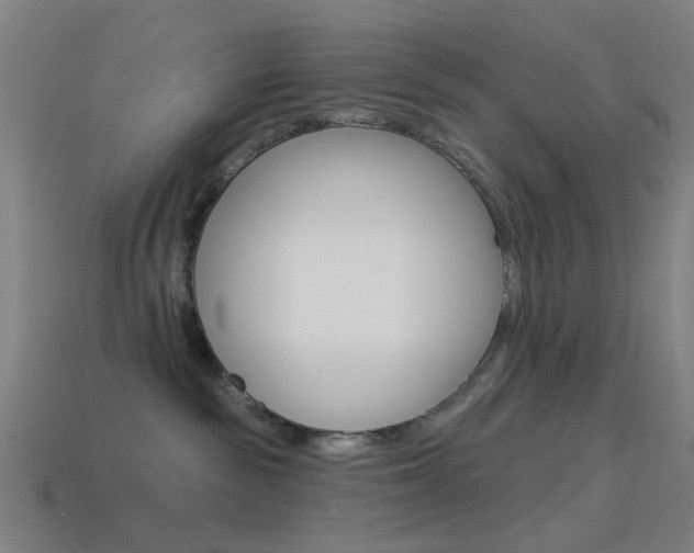 X0000114530189200910191018