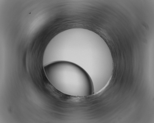 X0000114530190200910191018