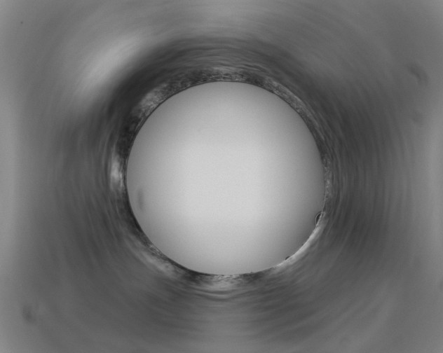X0000114530191200910191018