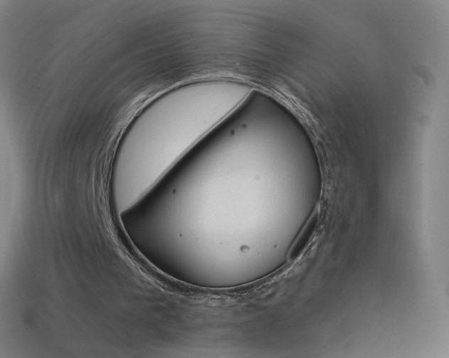 X0000114530193200910191017