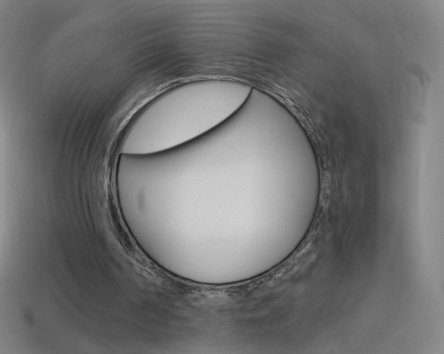 X0000114530194200910191017