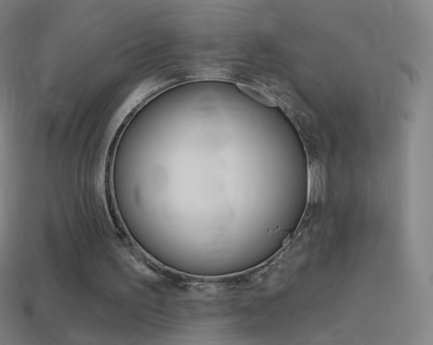X0000114530195200910191017
