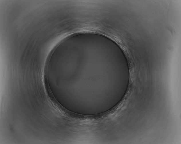X0000114530196200910191017