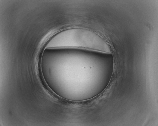 X0000114530197200910191017