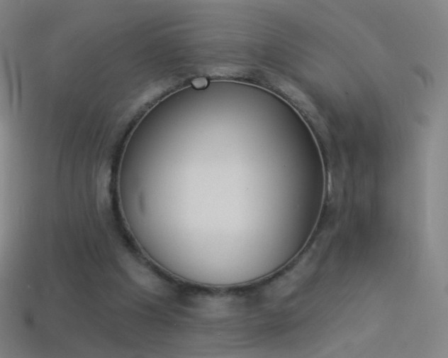 X0000114530201200910191017