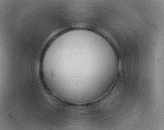X0000114530204200910191017