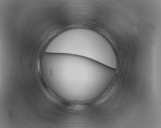 X0000114530205200910191017